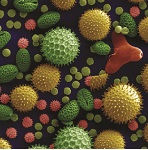 mindtouch.page#thumbnail