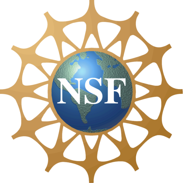 =NSF_Logo.PNG