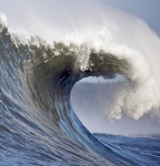 mindtouch.page#thumbnail