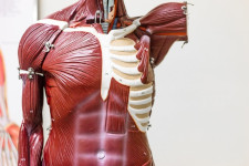 mindtouch.page#thumbnail