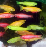 mindtouch.page#thumbnail